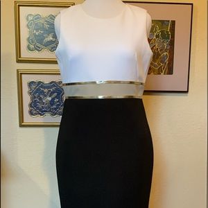 Calvin Klein sleeveless dress